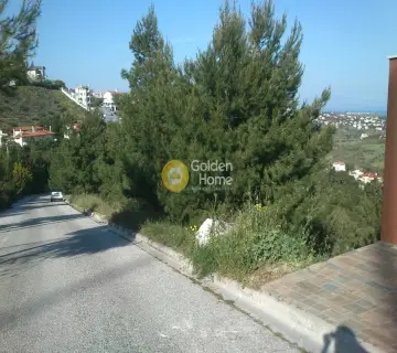 Οικιστικό 1000τ.μ. προς πώληση φωτογραφία 5