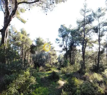 Residential 1648m<sup>2</sup> for sale photo 5