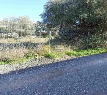 Residential 710m<sup>2</sup> for sale photo 7