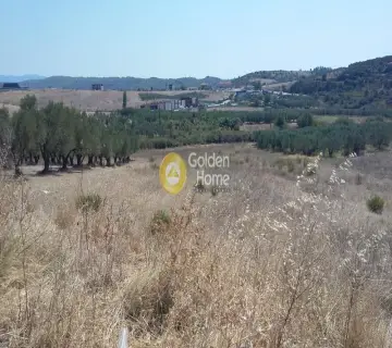 Οικιστικό 600τ.μ. προς ενοικίαση φωτογραφία 6