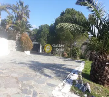 Golden Home Property Image