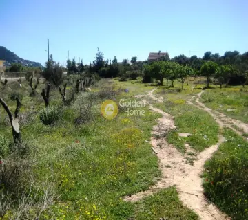 Οικιστικό 8500τ.μ. προς πώληση φωτογραφία 1