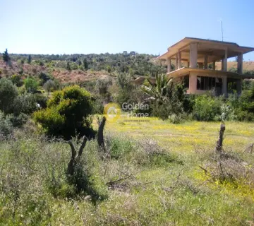 Οικιστικό 8500τ.μ. προς πώληση φωτογραφία 2