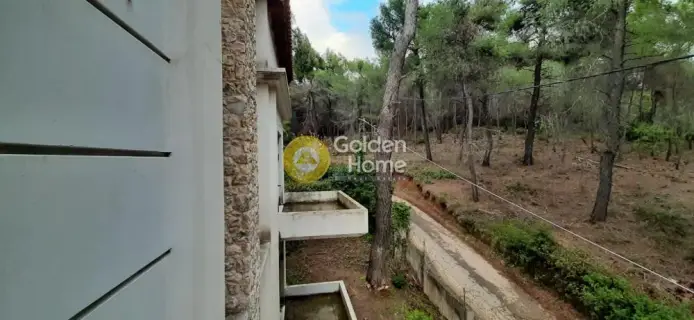 Μονοκατοικία 240τ.μ. προς πώληση φωτογραφία 6