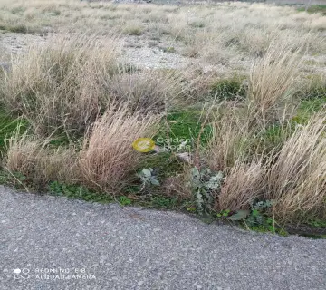 Professional Plot 3000m<sup>2</sup> for rent photo 1