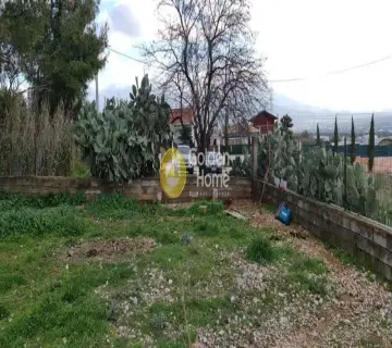 Οικιστικό 442τ.μ. προς πώληση φωτογραφία 1