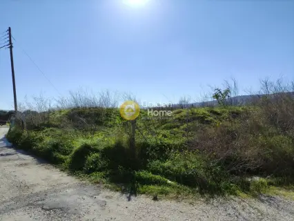 Professional Plot 4540m<sup>2</sup> for sale photo 8