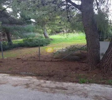 Οικιστικό 1056τ.μ. προς πώληση φωτογραφία 3013603