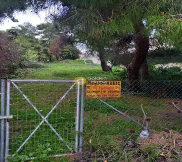 Οικιστικό 1056τ.μ. προς πώληση φωτογραφία 3013604