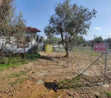 Οικιστικό 243τ.μ. προς πώληση φωτογραφία 2
