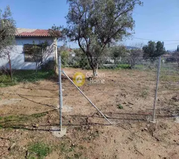 Οικιστικό 243τ.μ. προς πώληση φωτογραφία 3