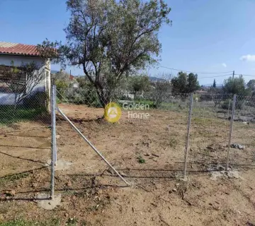 Οικιστικό 243τ.μ. προς πώληση φωτογραφία 4
