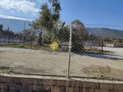 Residential 500m<sup>2</sup> for sale photo 4