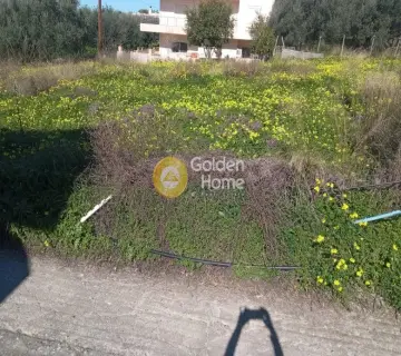 Έκταση 700τ.μ. προς πώληση φωτογραφία 6