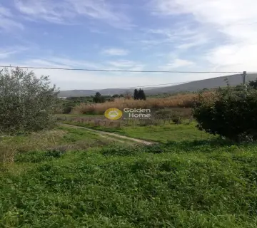 Residential 1400m<sup>2</sup> for sale photo 5