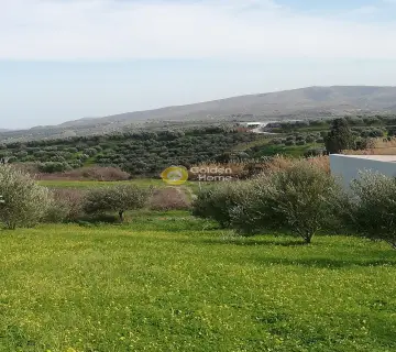 Residential 1400m<sup>2</sup> for sale photo 30