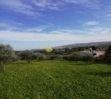 Residential 1400m<sup>2</sup> for sale photo 35