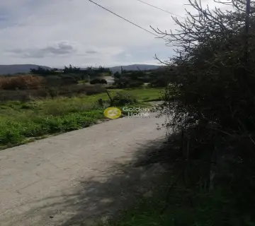 Residential 1400m<sup>2</sup> for sale photo 45