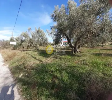 住宅 2368m<sup>2</sup> for sale photo 3