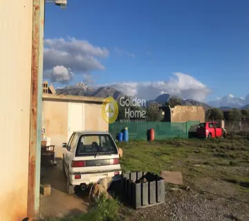 Golden Home Property Image