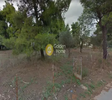 Αγροτεμάχιο 340τ.μ. προς πώληση φωτογραφία 2