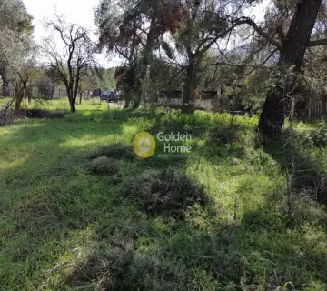 Αγροτεμάχιο 340τ.μ. προς πώληση φωτογραφία 3