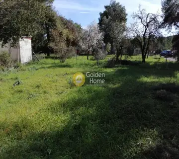 Αγροτεμάχιο 340τ.μ. προς πώληση φωτογραφία 4