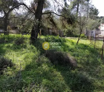 Αγροτεμάχιο 340τ.μ. προς πώληση φωτογραφία 5