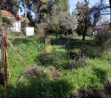 Αγροτεμάχιο 340τ.μ. προς πώληση φωτογραφία 6