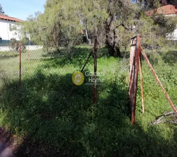 Αγροτεμάχιο 340τ.μ. προς πώληση φωτογραφία 7