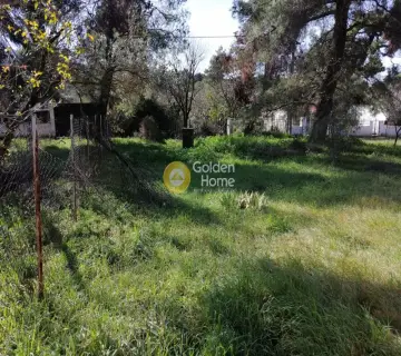 Αγροτεμάχιο 340τ.μ. προς πώληση φωτογραφία 8