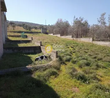 Professional Plot 4200m<sup>2</sup> for rent photo 3