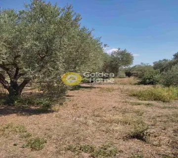 Area 13000m<sup>2</sup> for sale photo 4