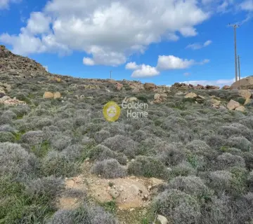Residential 5386m<sup>2</sup> for sale photo 1