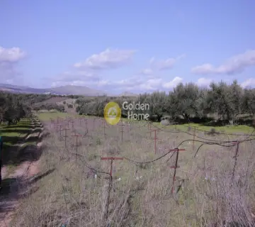 Residential 4000m<sup>2</sup> for sale photo 3032827