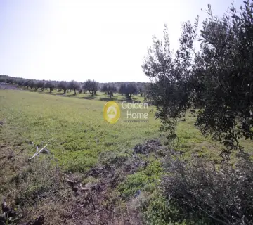 Residential 4000m<sup>2</sup> for sale photo 3033011