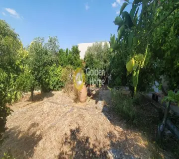 Κτίριο 165τ.μ. προς πώληση φωτογραφία 3021521