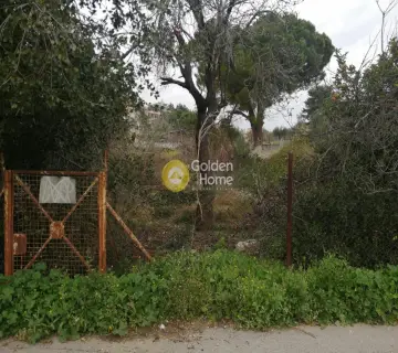 Residential 457m<sup>2</sup> for sale photo 5