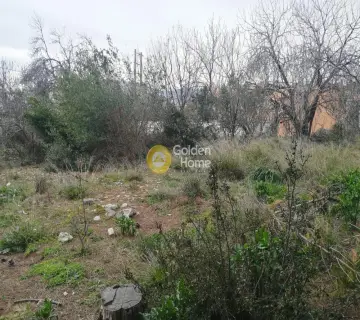Residential 457m<sup>2</sup> for sale photo 6