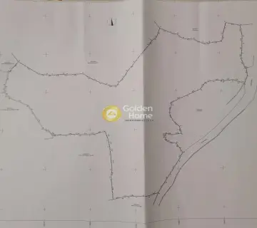 Οικιστικό 6500τ.μ. προς πώληση φωτογραφία 3018623