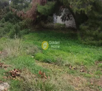 Οικιστικό 300τ.μ. προς πώληση φωτογραφία 3026273