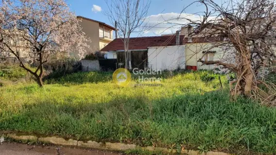 Golden Home Property Image