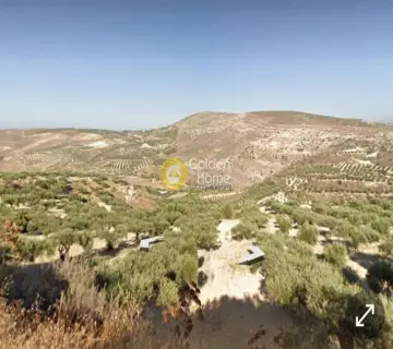 Residential 1851m<sup>2</sup> for sale photo 1