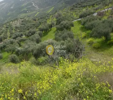 Residential 1851m<sup>2</sup> for sale photo 3077383