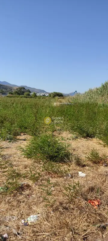 Professional Plot 2440m<sup>2</sup> for rent photo 3247545