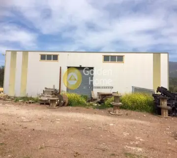 独立建筑 300m<sup>2</sup> for sale photo 4