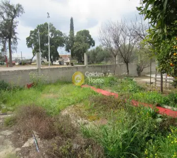 Golden Home Property Image