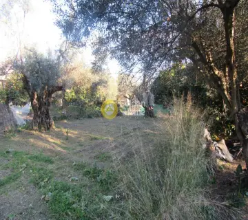Residential 400m<sup>2</sup> for sale photo 3036908