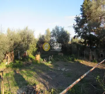Residential 500m<sup>2</sup> for sale photo 3037049