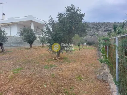 Residential 307m<sup>2</sup> for sale photo 1